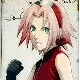 sakura
