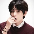 Tae (member VIT347)