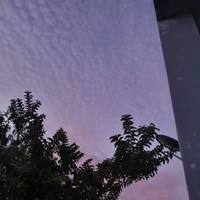 All