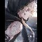 Knight ( guard )