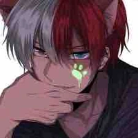 Todoroki