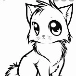 miya