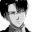 Levi