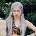 Park rose