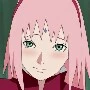 sakura haruno