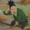 Shikaday