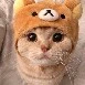 Seokjin (ver. cat)