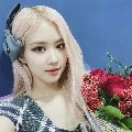 rosé