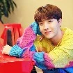 Jung Hoseok (J-hope)