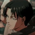 Levi