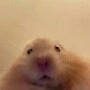 แอด
