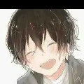 Akari ( max )