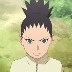 Shikadai Nara