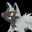 poochyena