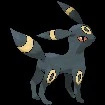 umbreon (compañero Bela)(macho