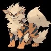 arcanine (compañero de Yoel)(macho)