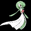 gardevoi (hembra)