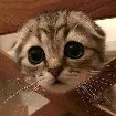 แอดเองค่ะ
