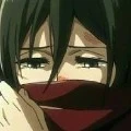 mikasa