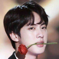 Seokjinnie 