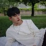 ｡เต｡