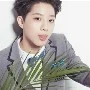 kris