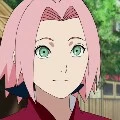 sakura