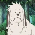 akamaru