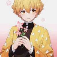 ⚡️Zenitsu ⚡️