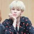 jimin/mochi