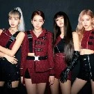 all member blackpink