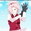 sakura