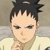 shikadai