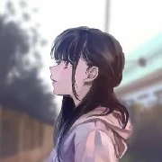 Y/N