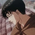 Levi