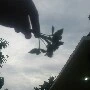 putri/pengeran
