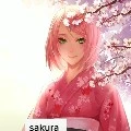 sakura