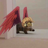 Autora 