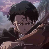 Levi