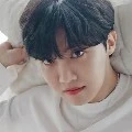 Hobi