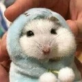 แอด