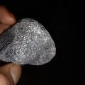 cebonk nopal