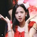 kim jisoo alexander