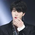 kim seokjin wilson