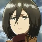 mikasa