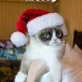 Meow