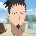 Shikamaru Nara