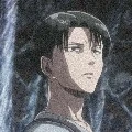Levi