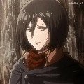 Mikasa