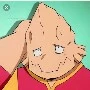 Koji